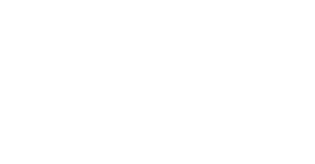 Logo-Detect-Web-Blanco-2